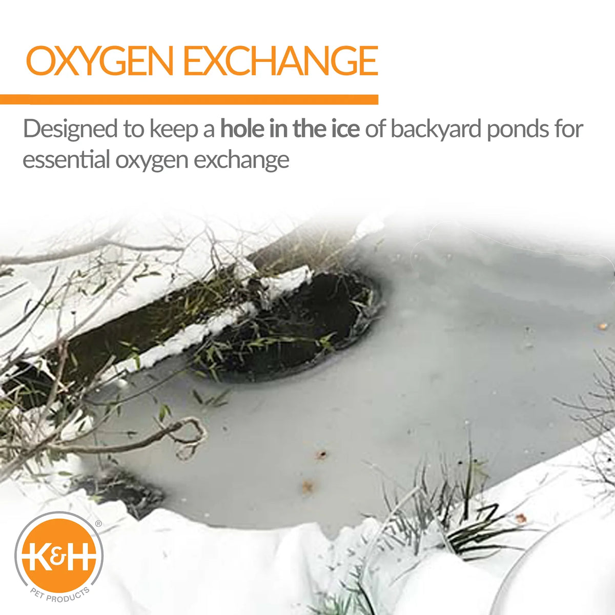 Open hole in the ice of a frozen backyard pond, kept clear for oxygen exchange